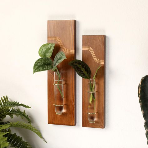 PRICES MAY VARY. 🌱Wooden Propagation Stations: The genuine stained pine wooden plant propagation wall hanging includes TWO different sizes and is perfect for indoor planting on your plant wall. This hanging propagation station is a good choice for growing plant cuttings in a controlled indoor environment on a wall hanging planter. 🌱Stylish Rustic Wall Art: Enhance your wall hanging decor with this charming wooden wall propagation station. This boho home decor with a laser-engraved wave design Plant Propagation Wall, Propagation Wall Hanging, Propagation Wall, Old Wooden Ladders, Indoor Plant Wall, Wall Planters Indoor, Indoor Planting, Propagation Station, Rustic Planters