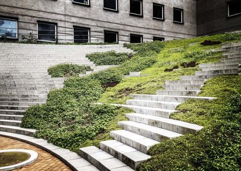 Houblon sur Tumblr Green Stairs, Landscape Architecture Diagram, Landscape Stairs, Landscape Steps, Urban Garden Design, Novo Nordisk, Urban Landscape Design, Garden Stairs, Areas Verdes