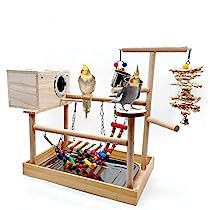 Bird Play Gym, Parrot Play Stand, Parrot Stand, Wooden Playground, Bird Cage Accessories, Parrot Perch, Bird Stand, Play Gym, Bird Supplies