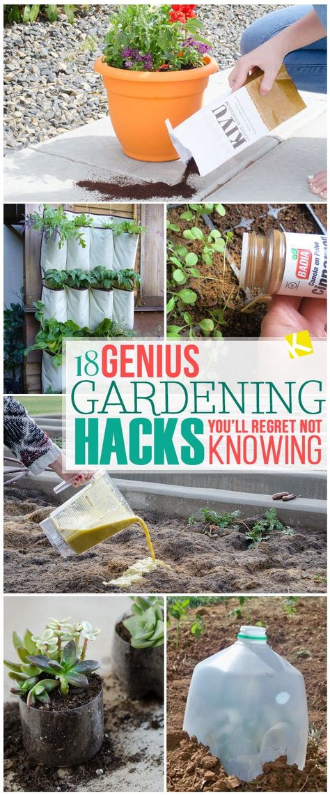 18 Genius Gardening Hacks You’ll Regret Not Knowing Garden Hacks, Organic Vegetable Garden, Gardening Hacks, Healthy Garden, Organic Gardening Tips, Easy Garden, Organic Vegetables, Flowers Garden, Planting Herbs