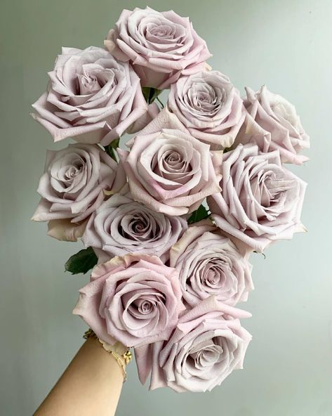 Lavender Rose Bouquet, Moody Wedding Flowers, Mauve Roses, Floral Designs Arrangements, Flower Types, Flower Varieties, Rose Lavender, Rose Varieties, Lilac Roses