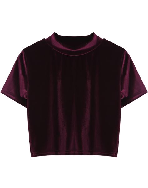 Wine Red Short Sleeve Crop Top in Velvet Red Velvet Shirt, Shirts Crop Tops, Velvet T Shirt, Shirts Crop, Velvet Shirt, Wine Shirts, Tumblr Outfits, Purple T Shirts, Crop Top Outfits