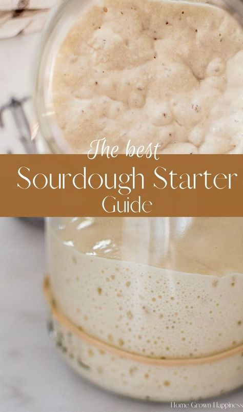 A detailed guide on creating your own sourdough starter - step by step. Includes all you need to know to nurture a starter plus frequently asked questions. Sourdough starter - Sourdough Recipe - Sourdough Starter Recipe - Creating a Sourdough Starter - Sourdough Starter Maintenance - Maintaining a Sourdough Starter Best Sourdough Starter Recipe, Dough Starter Recipe, Make Sourdough Starter, Sourdough Bread Starter, Dough Starter, Sourdough Starter Discard Recipe, Bread Sourdough, Starter Recipe, Easy Sourdough