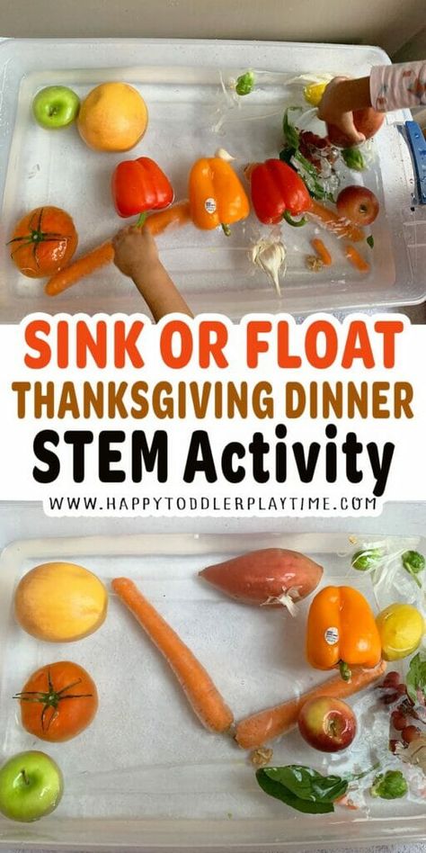 Thanksgiving Stem Projects, Thanksgiving Stem Activities, Fall Stem Activities, Thanksgiving Stem, Thanksgiving Activities Preschool, Stem Activities For Kids, Thanksgiving Lessons, Sink Or Float, November Activities