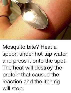 Remedies For Mosquito Bites, 1000 Lifehacks, Nyttige Tips, Sick Remedies, Mosquito Bites, Survival Skills Life Hacks, Survival Life Hacks, Mosquito Bite, Eucalyptus Oil