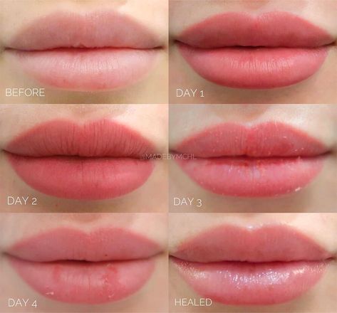 Does Lip Blush Hurt? What Lip Tattooing Feels Like Lip Blush Colors For Blondes, Natural Lip Tattoo, Natural Lip Blushing Tattoo Colors, Lip Blush Color Chart, Lip Tint Tattoo, Healed Lip Blush, Lip Blushing Tattoo Healing, Lip Blushing Colors, Lip Blush Healing Process