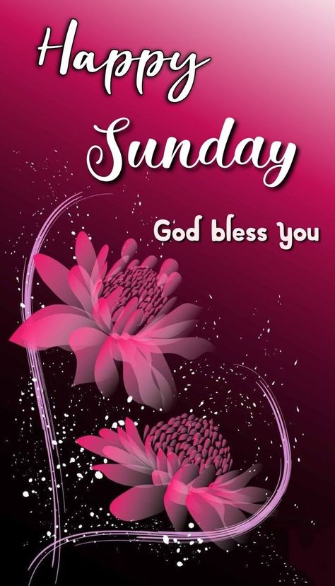 Happy Blessed Sunday, Sunday Wishes Images, Good Morning Sunday Blessings, Blessings Sunday, Sunday Morning Images, Sunday Morning Wishes, Blessed Sunday Morning, Blessed Sunday Quotes, Quotes Sunday