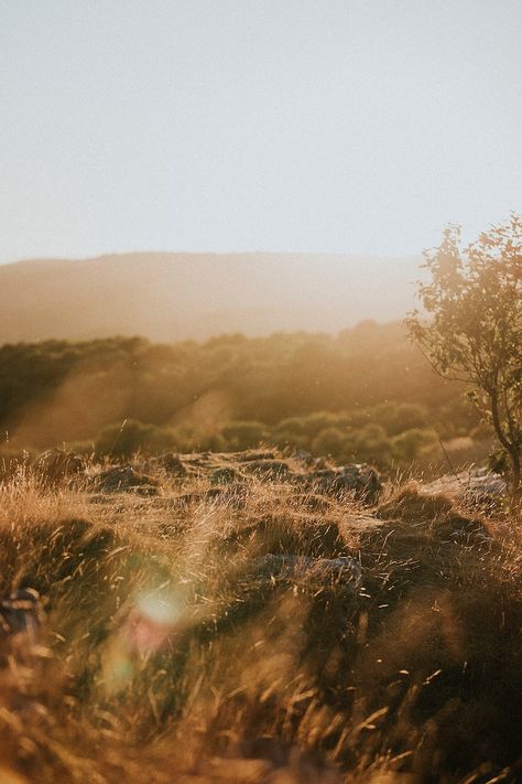 View of a brown grass field | premium image by rawpixel.com / Felix Autumn Sunset, Wallpapers For Mobile Phones, Wild Grass, Grass Field, Spring Aesthetic, Autumn Aesthetic, Nature Aesthetic, Iphone Background, Sunrise Sunset