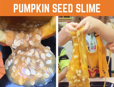 We have fabulously discovered Pumpkin Seed Slime! Tis the season for everything pumpkin, right?! We’re all about sensory bins, getting messy, and having fun here at Fun Early Learning. Our st… Pumpkin Seed Activities, Making Pumpkin Seeds, Pumpkin Seed Crafts, Pumpkin Activities Preschool, Seed Science, Seed Craft, Everything Pumpkin, Sensory Play Toddlers, Pumpkin Crunch