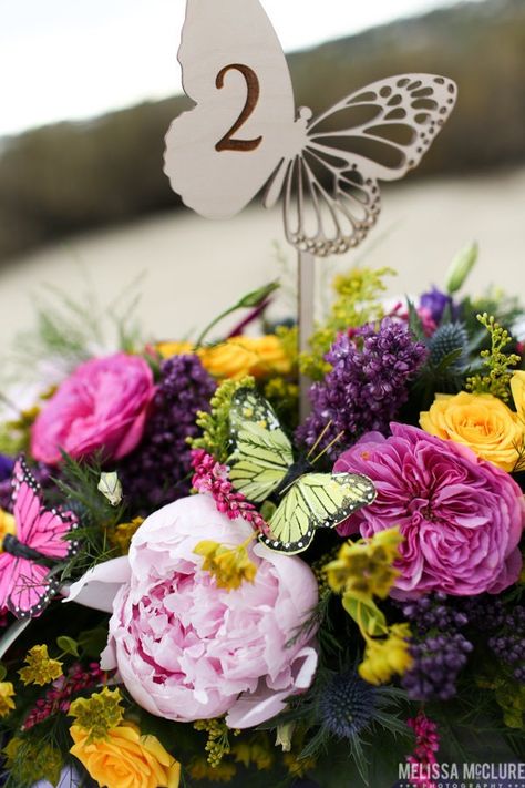 "This sweet butterfly table number adds a perfect touch to any event table! Set them in your centerpieces or inside a beautiful bouquet, possibilities are endless! These are made from lightweight birch wood, and laser cut into a beautiful butterfly design, with the number engraved at the center of the wing. We can do a cute little \"Mr & Mrs\" engraving as well instead of a number, see final photo.  The top piece of the number is 5\" tall and 5.25\" wide, on a 6\" stick. Each one is laser cut fr Butterfly Quince, Butterfly Centerpieces, Little Mr, Quinceañera Ideas, Butterfly Table, Girly Party, Butterfly Baby Shower, Card Table, 19th Birthday