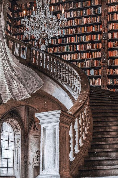 Old Library Aesthetic, Library Goals, Beautiful Home Library, Grand Library, Dream Library, Beautiful Library, Old Library, Library Aesthetic, Library Room