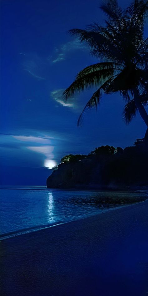 Ocean At Night, Night Time, Palm Tree, The Ocean, At Night, The Beach, Trees, Blue