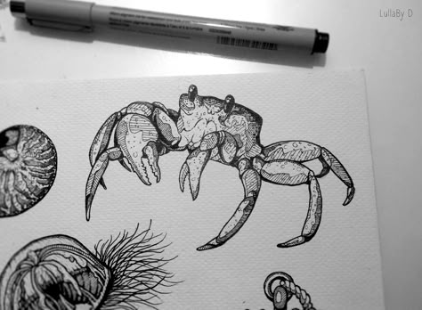 Ocean Crab Tattoo, Animal Tattoos Designs, Crab Tattoos Men, Aquatic Animal Tattoos, Animal Tattoos For Men Sleeve, Aquatic Tattoo Sleeve, Crab Tattoo Men, Line Animal Tattoo, Cute Crab Tattoo