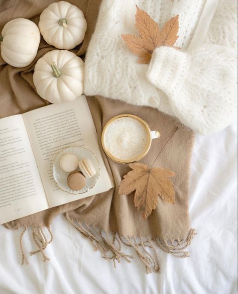 Fall Cream Aesthetic, Cozy Soft Aesthetic, Neutral Asthetic Pics, Minimalist Fall Aesthetic, Aesthetic Beige Photos, Autumn Aesthetic White, Beige Fall Aesthetic, Fall Neutral Aesthetic, White Fall Aesthetic