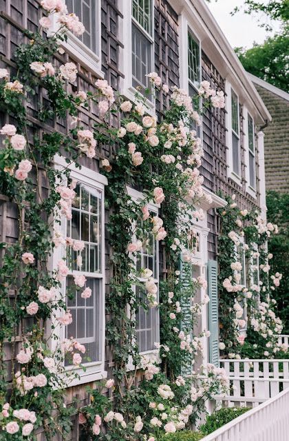 Rose Covered Cottage in Nantucket | Content in a Cottage London Cottage Aesthetic, Pastel House Exterior, Pink Climbing Roses, Climbing Roses, Beautiful House, Rose Cottage, Cool Ideas, Garden Cottage, Beach Cottages