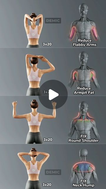 DEMIC STORY on Instagram: "14-Day Plan to Toned Arms!💪
Daily workouts 😉💪👍
.
.
.
#weightloss #bodyfitness #fitness #fitnessmotivation #demic #weightlossmotivation #bodytransformation #exercise #homeworkout #dailyworkout #dailyoutfit #womenhealth #women #instagram #instagramreels #exercisemotivation #fitness #transformation #trending #fatburner #fatburningworkout #workout" Body Workout Schedule, Arm Workout Women, Arm Exercises, Daily Workouts, Quick Workout Routine, Toned Arms, Workout Schedule, Total Body Workout, Strength Workout