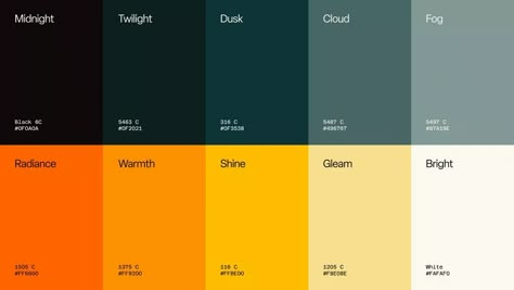 Creative Color Palette Graphic Design, Sport Color Palette, 8 Color Palette, Website Color Schemes, Palette Green, Electro Shock, Color Design Inspiration, Hex Color Palette, Shade Card