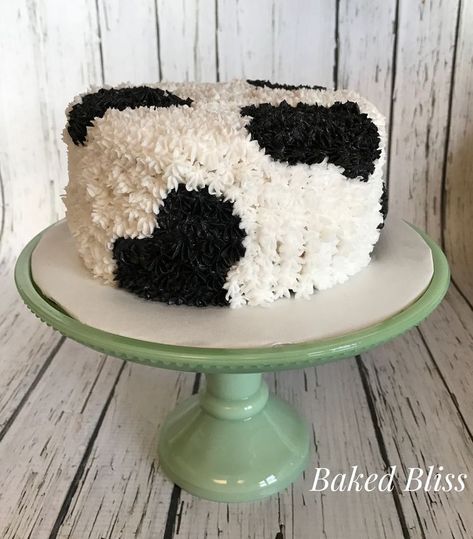 Cow Print Cakes, Cowgirl Birthday Cakes, Cow Birthday Cake, Cow Print Birthday, Cow Cupcakes, Cow Birthday Parties, Cow Cakes, Cow Baby Showers, Farm Theme Birthday