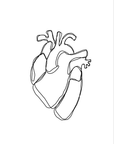 Aesthetic Anatomical Heart, Heart Fine Line Drawing, Anatomical Heart Line Art, Anatomical Heart Line Drawing, Heart Line Art Tattoo, Human Heart Line Art, One Line Heart Drawing, Human Heart Drawing Aesthetic, Fine Line Anatomical Heart Tattoo