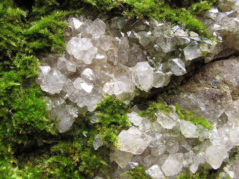 Nature and more Quartz Crystals, Crystal Gems, Minerals Crystals, Sacred Geometry, Natural Wonders, Rocks And Crystals, Fairy Garden, Backyard Landscaping, Mother Nature