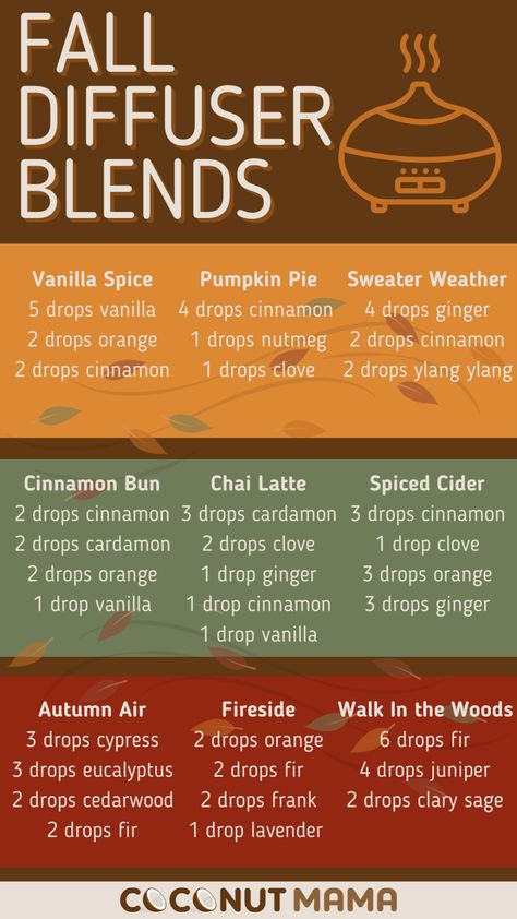 Doterra Pumpkin Spice Blend, Fall Diffuser Blends With Vanilla, Chai Diffuser Blend, Get Ready For Autumn, Pumpkin Spice Oil Blend, Fall Blends For Diffuser, Fall Diffuser Blends Essential Oils, Pumpkin Spice Diffuser Blend, Fall Aromatherapy Blends