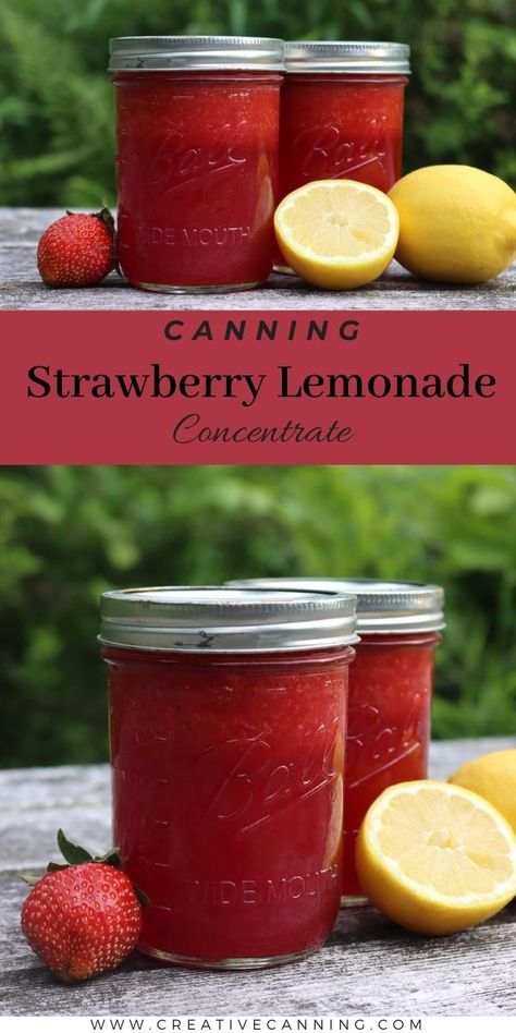 Canning Strawberry Lemonade Concentrate Ball Strawberry Lemonade Concentrate, Strawberry Concentrate Recipe, Canned Strawberry Lemonade Concentrate, Canned Lemonade Concentrate, Strawberry Canning Ideas, Strawberry Lemonade Concentrate Canning, Canning Lemonade Concentrate, Strawberry Canning Recipes, Canning Lemonade