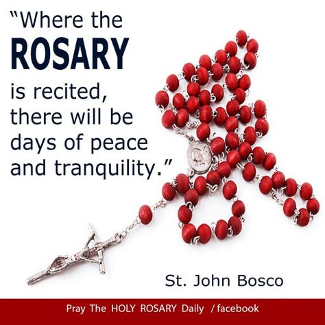 Rosary Rosary Quotes, John Bosco, St John Bosco, Bible Verses Kjv, Saint Quotes Catholic, Holy Quotes, Rosary Prayer, Praying The Rosary, Bible Passages