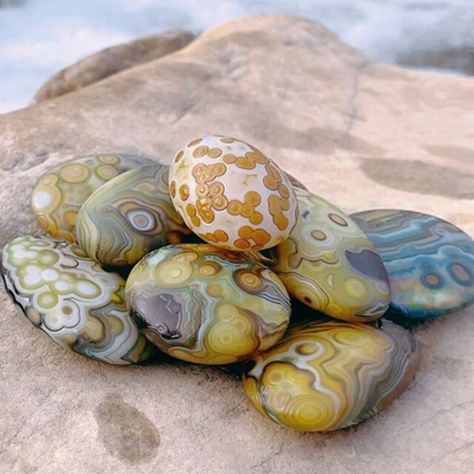 Pure Natural Wishing Agate Stone Colorful Flower Eye Agate Is Extremely Rare And Precious Bead For Jewelry DIY Decoration - AliExpress Eye Agate, Crystal Room, Color Wonder, Stone World, Art Pics, Precious Beads, Pretty Rocks, Cool Rocks, Beautiful Rocks