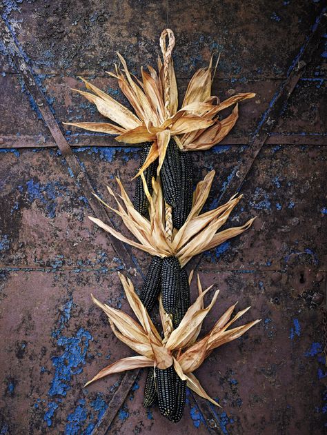 Dark Corn Stalk Decor Corncob Crafts, Corn Stalk Decor, Corn Garland, Black Corn, Outdoor Fall Decor Ideas, Owl Pumpkin, Corn Stalks, Dried Corn, Indian Corn