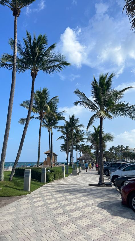 Picture of palm trees on a sunny at the beach Sea Side Florida, West Palm Beach Aesthetic, Seaside Florida Aesthetic, Zepeto Background Aesthetic Beach, Florida Beach Aesthetic, Palm Beach Aesthetic, Florida Pics, Deerfield Beach Florida, Florida Photos