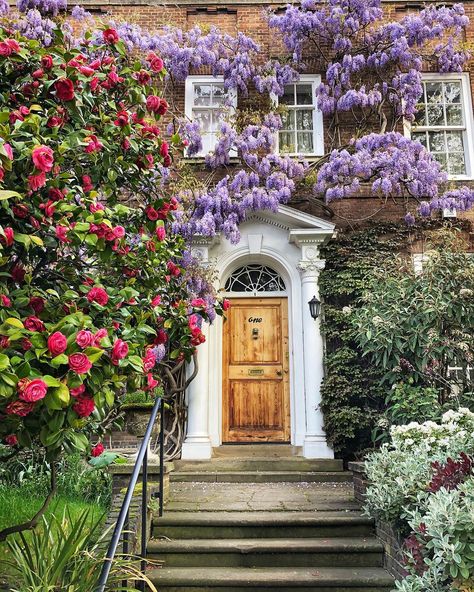 Got the tip about this house from work colleague who knows the owners. They know their house is Insta famous and they don’t mind  . . . .… Kensington And Chelsea, Holland Park, Visiting England, Kensington London, London City, Wisteria, One Kings Lane, Home Interior, Macarons