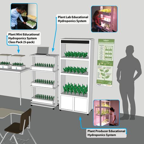 Cross-departmental collaboration is a huge benefit to having hydroponics in your classroom. Agriculture teachers, science teachers, culinary teachers, and food service employees can use hydroponics to collaborate on concepts of sustainable farming, farm-to-school programs, nutrition and more. #hydroponics #hydroponicsystem #education #culinary #agriculture #STEM #CTElife #Realityworks Agriculture Education Classroom, Agriculture Classroom, Fcs Classroom, Family And Consumer Science, Parenting Education, Agriculture Education, Aquaponics System, Sustainable Farming, Hydroponics System