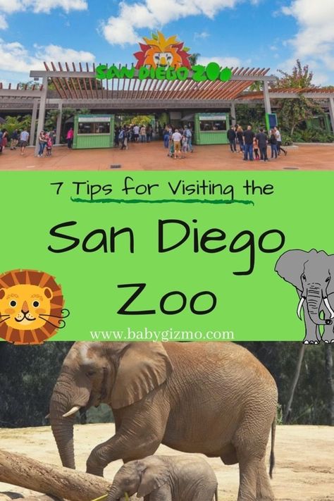 zoo San Diego Zoo Outfit, Zoo Outfit, San Diego Vacation, Visit San Diego, San Diego Travel, Family Vacation Destinations, Safari Park, Visit California, San Diego Zoo