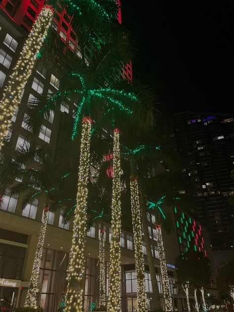 Christmas In Miami, Miami Christmas, Future Aesthetic, Moving To Miami, Miami Night, Miami Outfits, Christmas In The City, Christmas 2023, Winter Aesthetic