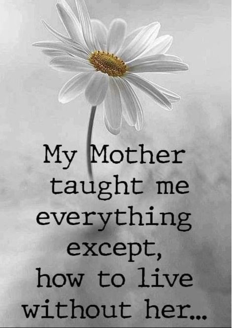 Mother Love Quotes, Miss My Mom Quotes, Quotes For Mother, Mom In Heaven Quotes, Miss You Mom Quotes, Love Of A Mother, Quotes Mother, In Loving Memory Quotes, I Miss My Mom