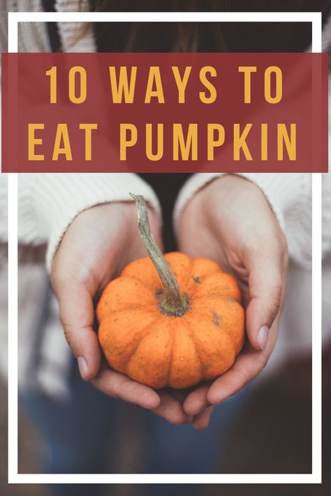 With the beginning of fall comes the beginning of pumpkin season. Here are ten different ways to eat pumpkin: Fall Pregnancy, Fall Pregnancy Announcement, Baby Kicking, Pumping Moms, Fall Maternity, Power Foods, Baby Sleep Problems, First Trimester, After Baby