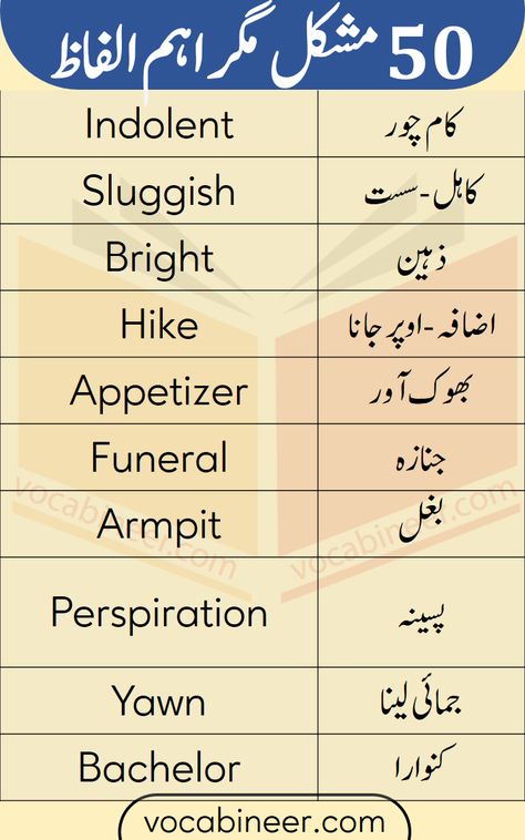 50 Most Commonly Used English Words with Urdu Meanings for beginner English learners. These Basic English words are important for the students who have just started learning English. Learn daily used important English vocabulary words with their Urdu meanings English Speaking Book, Simple English Sentences, English And Arabic, Basic English Sentences, English Phrases Sentences, Phrases And Sentences, English Learning Books, English For Beginners, English Language Learning Grammar