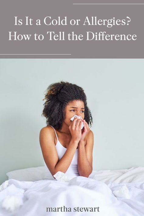 Here's how to tell the difference between a cold or allergies after you're already sniffling and sneezy. #marthastewart #lifestyle #emotionalhealth #funideas #advice #lifehacks #relationshipadvice Best Cough Remedy, Natural Room Spray, Dry Cough Remedies, Cold Or Allergies, Cold And Cough Remedies, Make A Room, Home Remedy For Cough, Cold Sores Remedies, Diet Breakfast Recipes