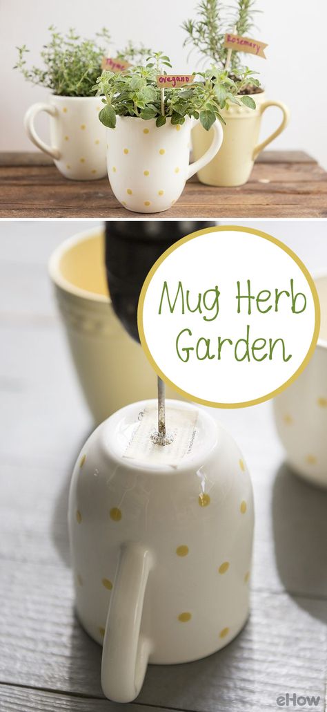 This  herb garden is as cute as possible! Grow the perfect spring and summer time herbs like fresh oregano, rosemary and thyme in adorable mugs. Your kitchen window sill just upgraded. These also make GREAT housewarming gifts! http://www.ehow.com/how_12343244_make-mug-herb-garden.html?utm_source=pinterest.com&utm_medium=referral&utm_content=freestyle&utm_campaign=fanpage Kitchen Window Herb Garden, Window Sill Plants, Housewarming Gifts For Men, Window Herb Garden, Herb Garden Planter, Kitchen Window Sill, Grow Herbs, Kitchen Herbs, Gift Mugs