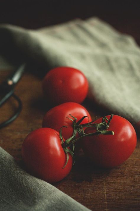 tomatoes. Tomato Photography, Tomato Gravy Recipe, Tomato Drawing, Tomato Cage Crafts, Tanaman Tomat, Tomato Paste Recipe, Tomato Bisque Soup, Tomato Mozzarella Basil, Tomato Pie Recipe