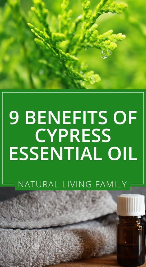 Cypress Essential Oil Benefits, Best Essential Oil Diffuser, Cypress Oil, Cypress Essential Oil, Essential Oils For Massage, Candle Scents, Oil Diffuser Recipes, Essential Oil Benefits, Holistic Remedies