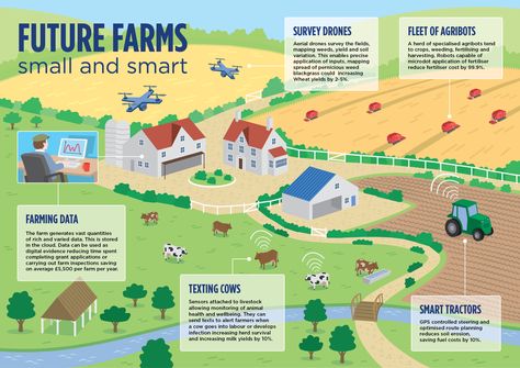 Future farms infographic - precision agriculture Agriculture Education Classroom, Smart Farming, Agriculture Photography, Agriculture Design, Agriculture Projects, Smart Farm, Farming Technology, Precision Agriculture, Modern Agriculture