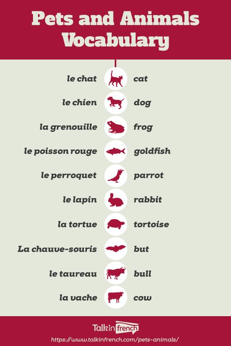 Animals In French, French Language Basics, Useful French Phrases, Learning French For Kids, Learn French Beginner, French Basics, French Flashcards, Basic French Words, Study French