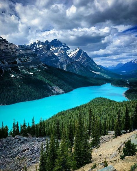 Peyto Lake Canada, Everything Is Everything, Peyto Lake, Banff National Park Canada, Waterton Lakes National Park, Canada National Parks, Banff Canada, Medicine Hat, Canadian Rockies