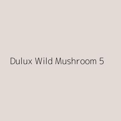 Mushroom Coloured Walls, Mushroom Colour Walls, Dulux Mushroom Paint, Utility Room Paint Color Ideas, Dulux Warm Neutrals, Mushroom Color Paint, Hall Colours, 2021 Paint Color Trends, Dulux Heritage Colours