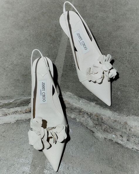 roundup: the classiest and most timeless silhouette option for your wedding is a pointed toe heel. whether adorned with flower or bow appliqués or a simple satin/leather you cannot go wrong with this option. opt for a kitten heel height for ultimate comfort | shop all bridal accessories via link in bio 🤍 . . #shoes #weddingshoes #bridalstyle #wedding #bridetobe #weddingaccessories Simple Satin, Bridal Inspo, Kitten Heel, Bridal Accessories, Bridal Style, Wedding Shoes, Wedding Accessories, Wedding Bridal, Link In Bio