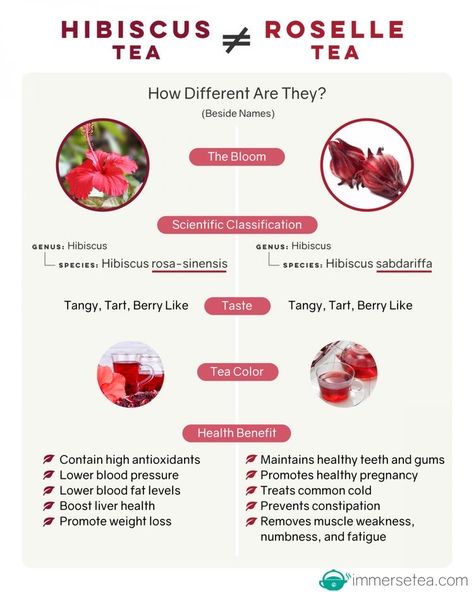 Tea Infographic, Roselle Tea, Hibiscus Tea Benefits, Hibiscus Flower Tea, Herbal Tea Benefits, Healing Tea, Herbal Teas Recipes, Tea Health Benefits, Herbal Healing