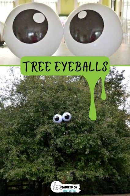 Tree eyeballs are the perfect outdoor Halloween decor! Visit us over on Listotic to see the full featured list of easy DIY Halloween decor. Halloween Eyes In Bushes, Eyeball Halloween Decorations Diy, Diy Halloween Eyeballs, Halloween Doll House, Easy Diy Halloween Decor, Halloween Decorations Spooky, Halloween Bunco, Terrifying Halloween, Spooky Ideas