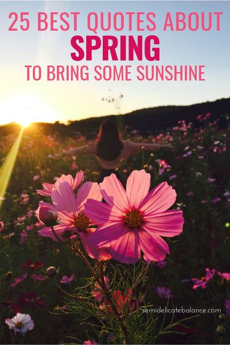 25 Best Quotes About Spring To Bring Some Sunshine To Your Life #springquotes #springcaptions #quoteaboutspring #springtime Quotes About Spring, Springtime Quotes, Happy Spring Day, Black Love Quotes, Relationship Development, Season Quotes, Spring Quotes, First Day Of Spring, Famous Authors