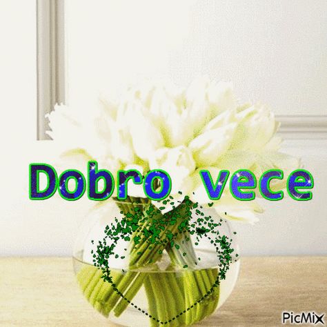 VECE Dobro Veče, Beauty Photography, Social Networks, Animated Gif, Gif, Quick Saves